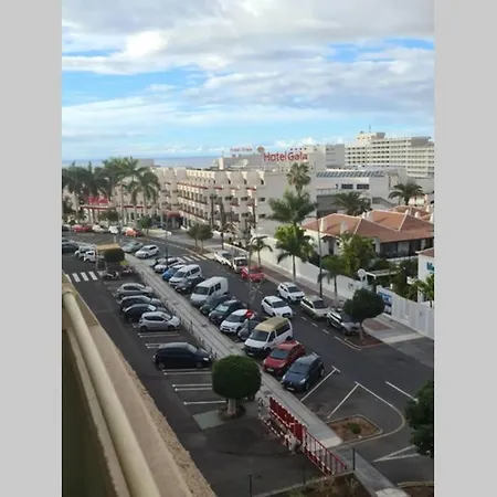 Appartement Comfortable In The Heart Of Las Americas